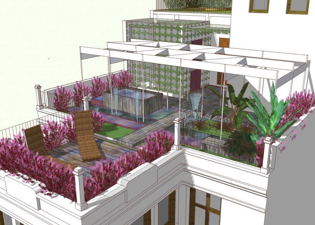 El Sombrero verde de Demetrio